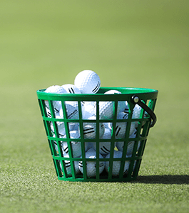 Lifetime Memberships